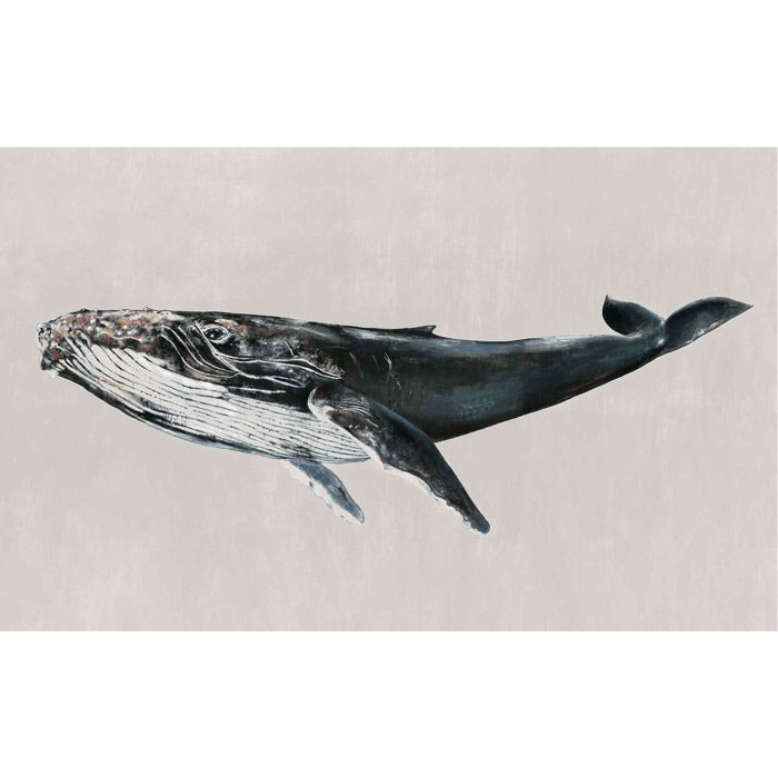 Coordonné behang Humpback Whale Grey