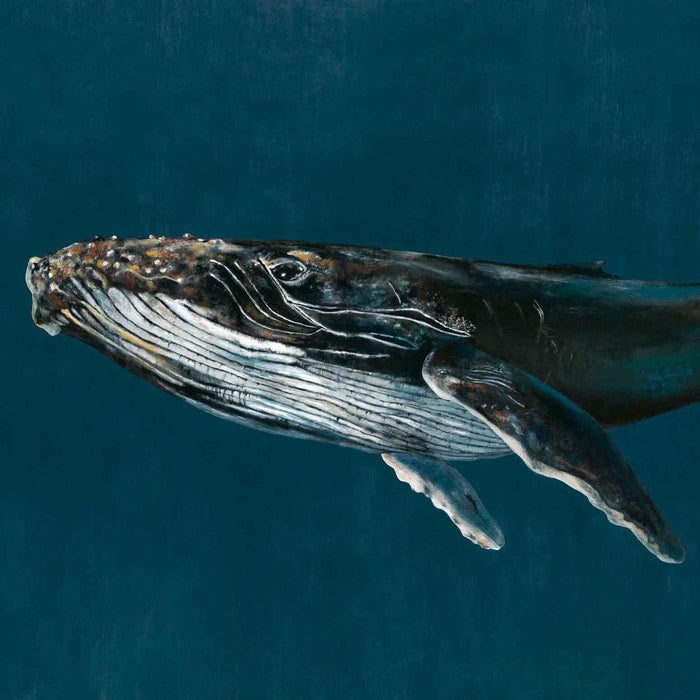 Coordonné behang Humpback Whale Oceans