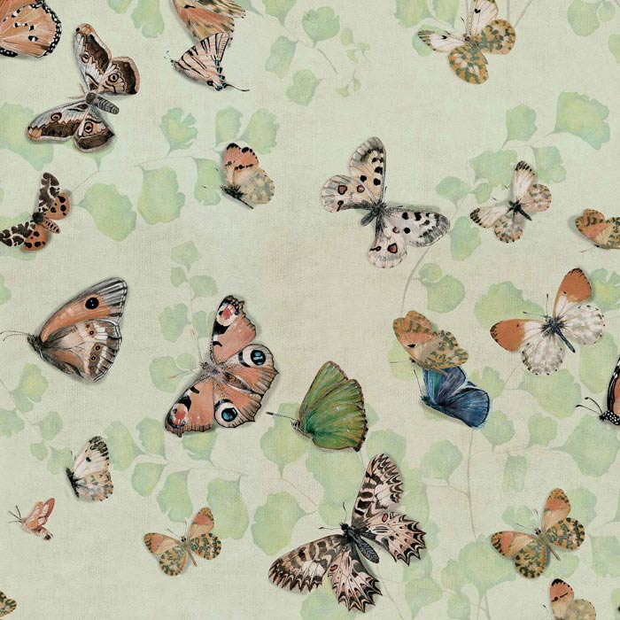 Coordonné behang Magic butterflies Maca
