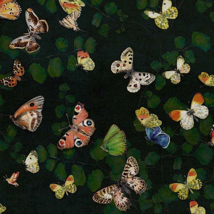 Coordonné behang Magic butterflies Night