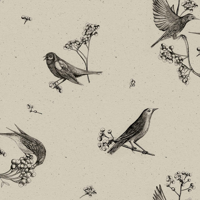 Coordonné behang Sweet birds Black