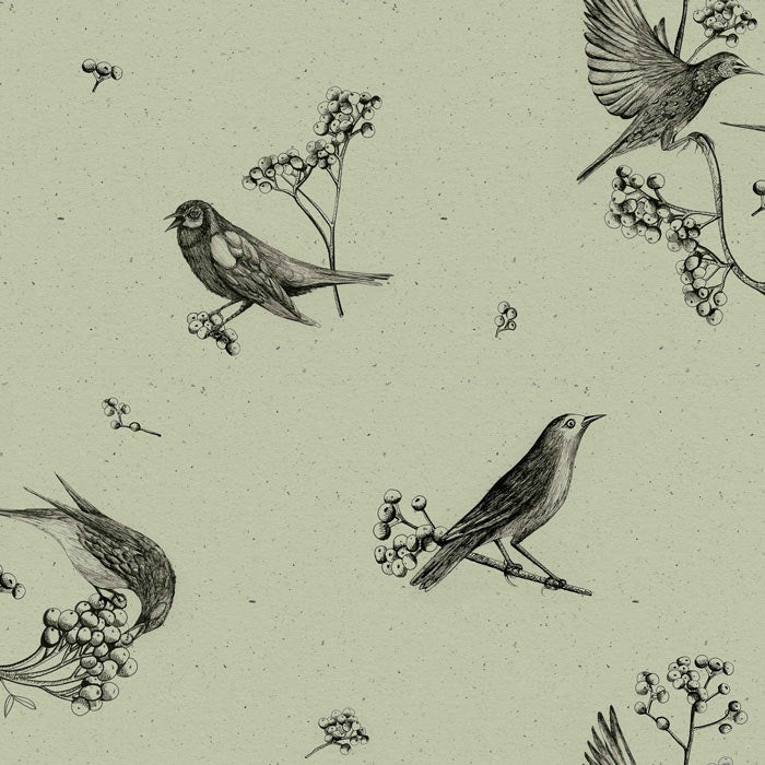 Coordonné behang Sweet birds Matcha