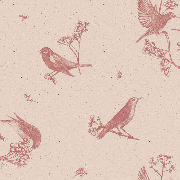 Coordonné behang Sweet birds Rose