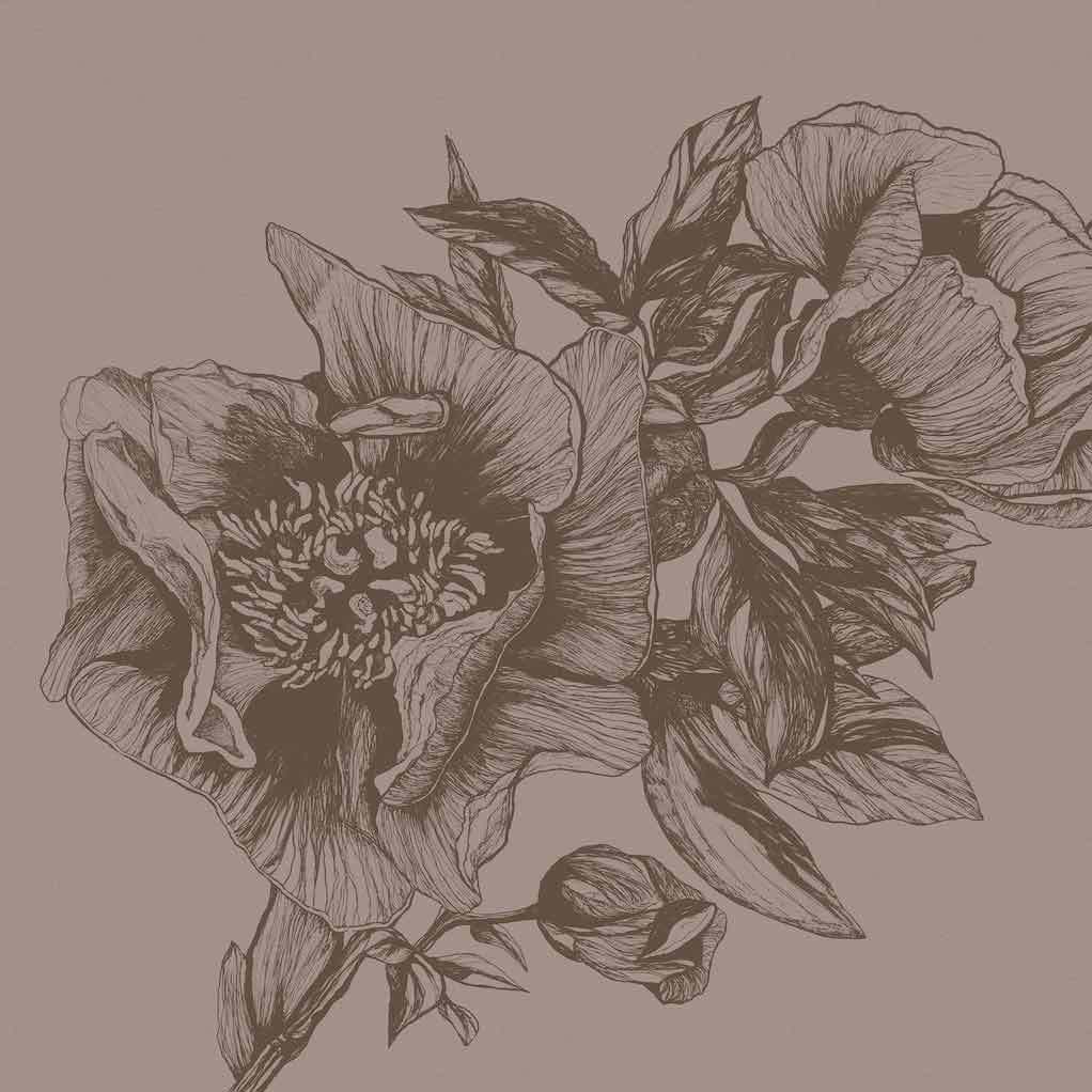 GIANT PEONIES - CACAO | 9500703