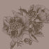 GIANT PEONIES - CACAO | 9500703