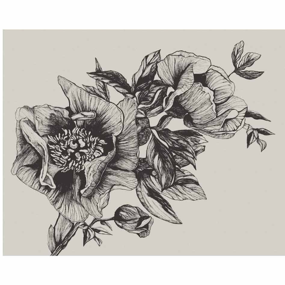 GIANT PEONIES - INK | 9500700