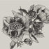 GIANT PEONIES - INK | 9500700