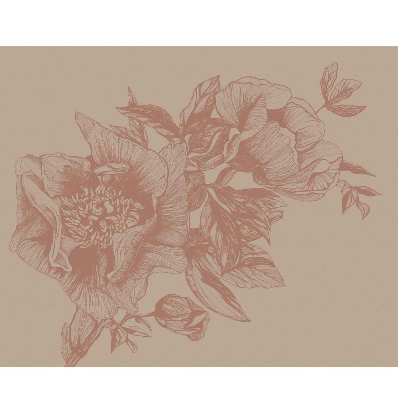 GIANT PEONIES - NUDE | 9500702