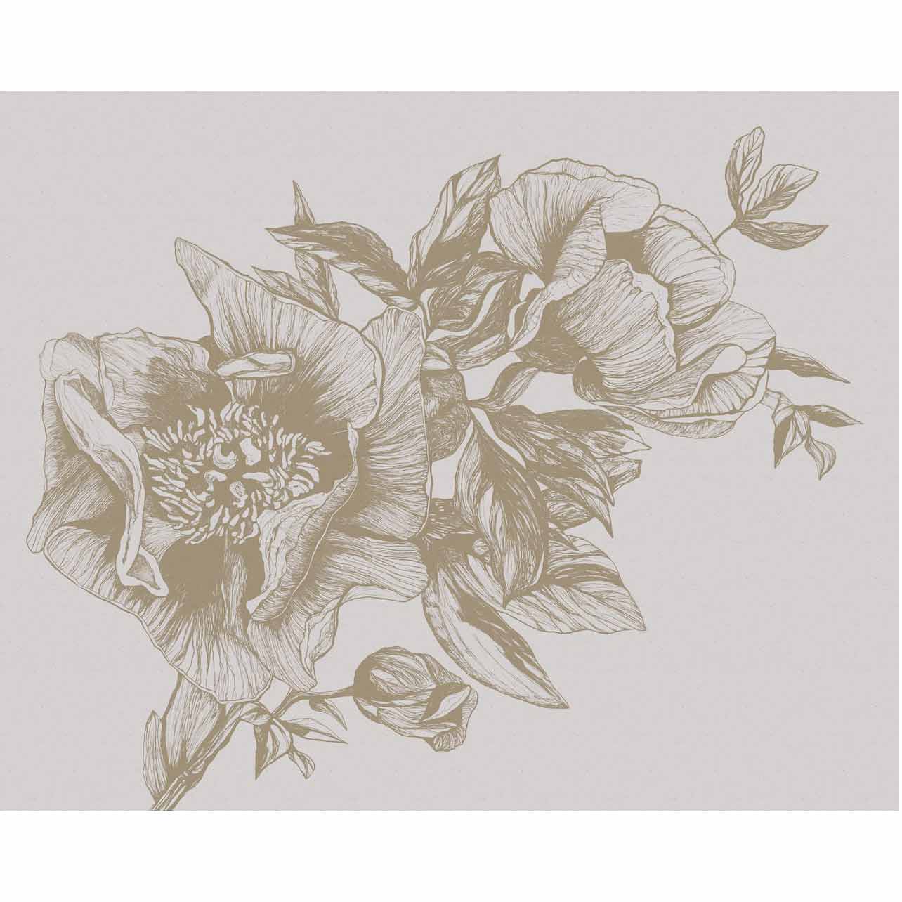 GIANT PEONIES - PAPIRUS | 9500701