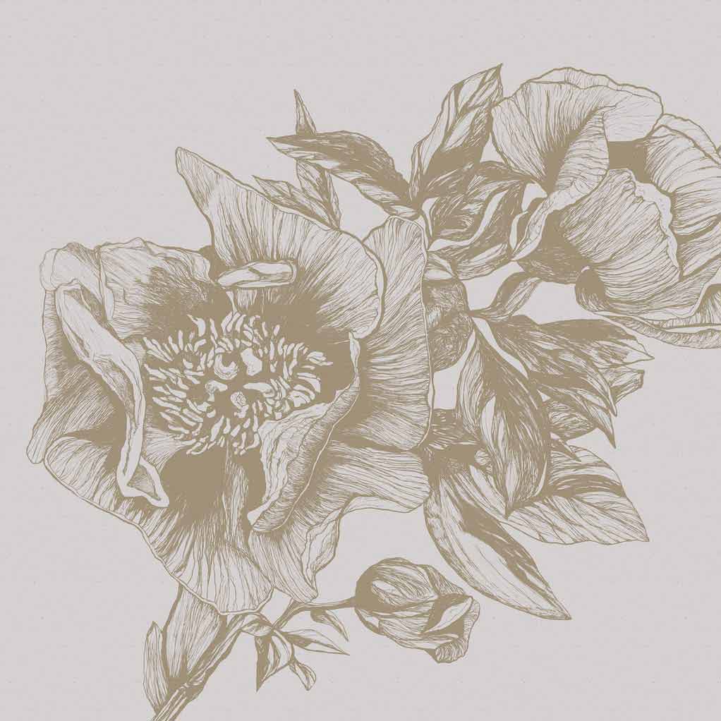 GIANT PEONIES - PAPIRUS | 9500701
