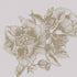 GIANT PEONIES - PAPIRUS | 9500701