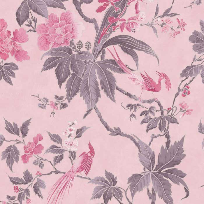 Little Greene Paradise Pink