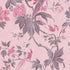 Little Greene Paradise Pink