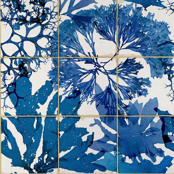 Mind the Gap Algae in blue WP20179