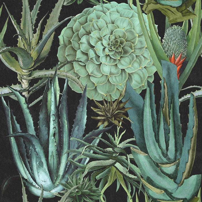 Mind-the-Gap-Succulentus-Anthracite-WP20167