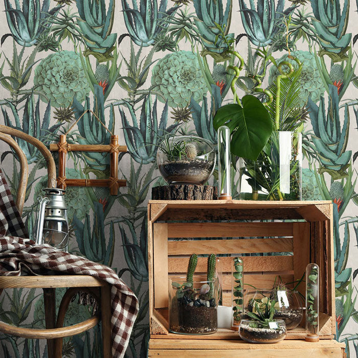 Mind-the-Gap-Succulentus-WP20168