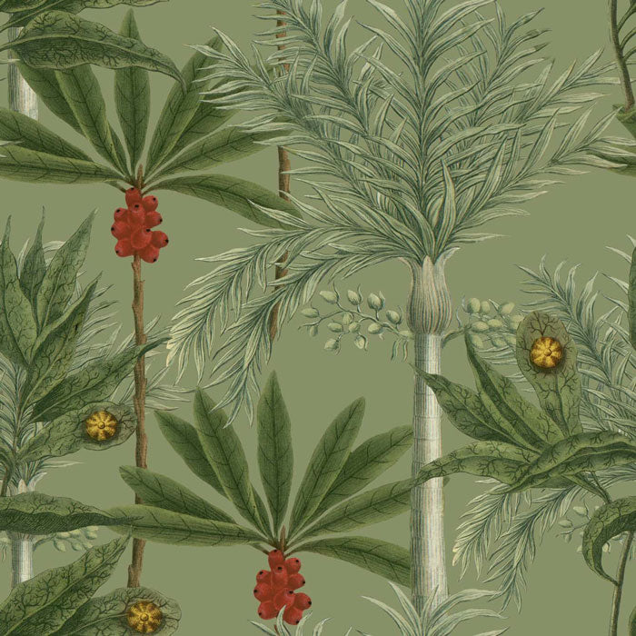 Mind the Gap behang Madagascar WP20520