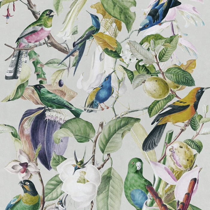 Mind the Gap behang Tropical birds WP20172