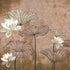Nympha Silver 9602001