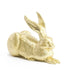 Ottmar Hörl Dürer Hare Haas