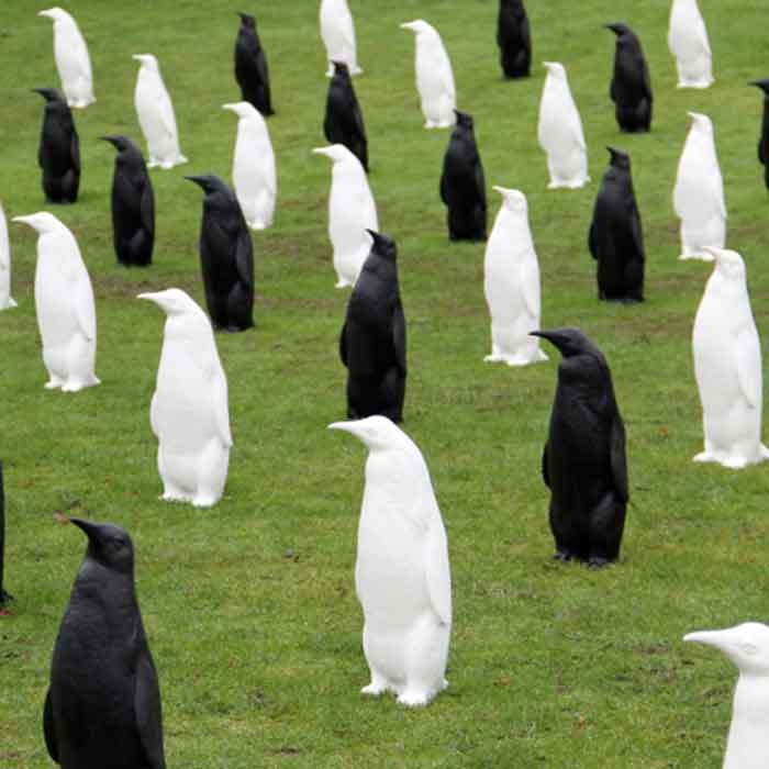 Ottmar Hörl Penguin head up