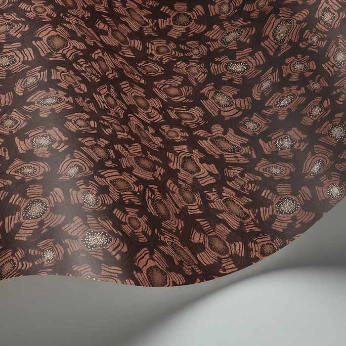 Savanna-Shell-119-4018