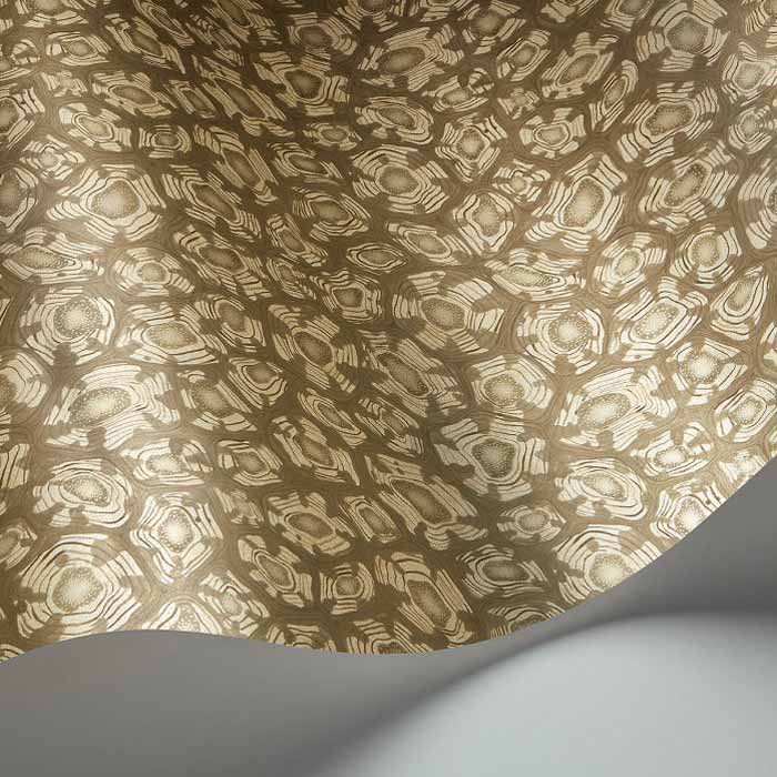 Savanna-Shell-119-4020