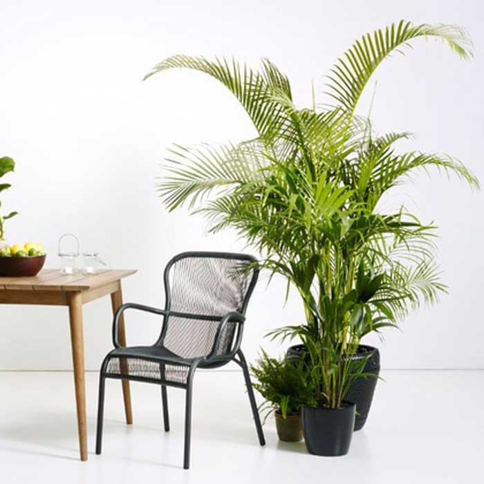 Vincent Sheppard Loop Dining Chair Outdoor