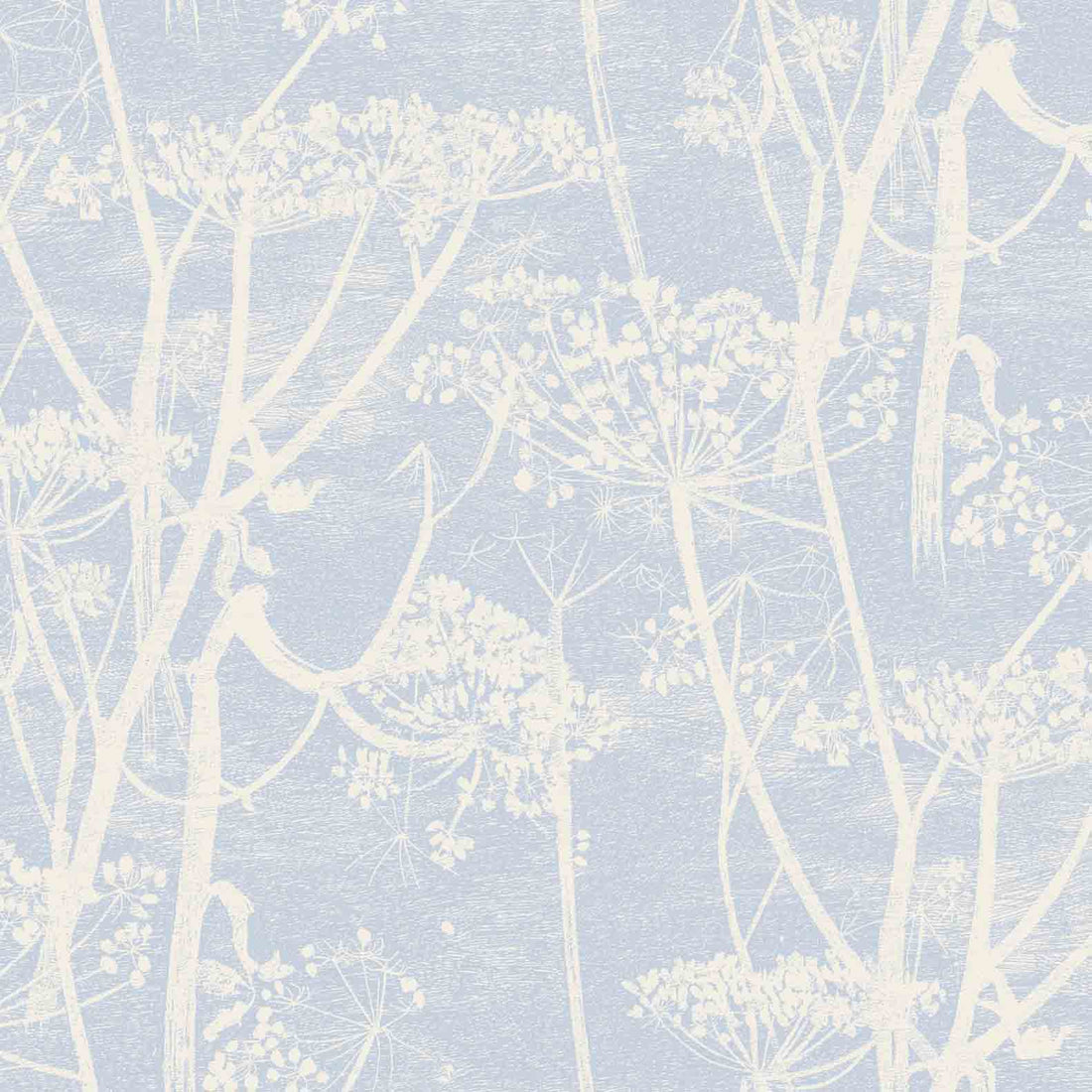 cole and son cow parsley blue