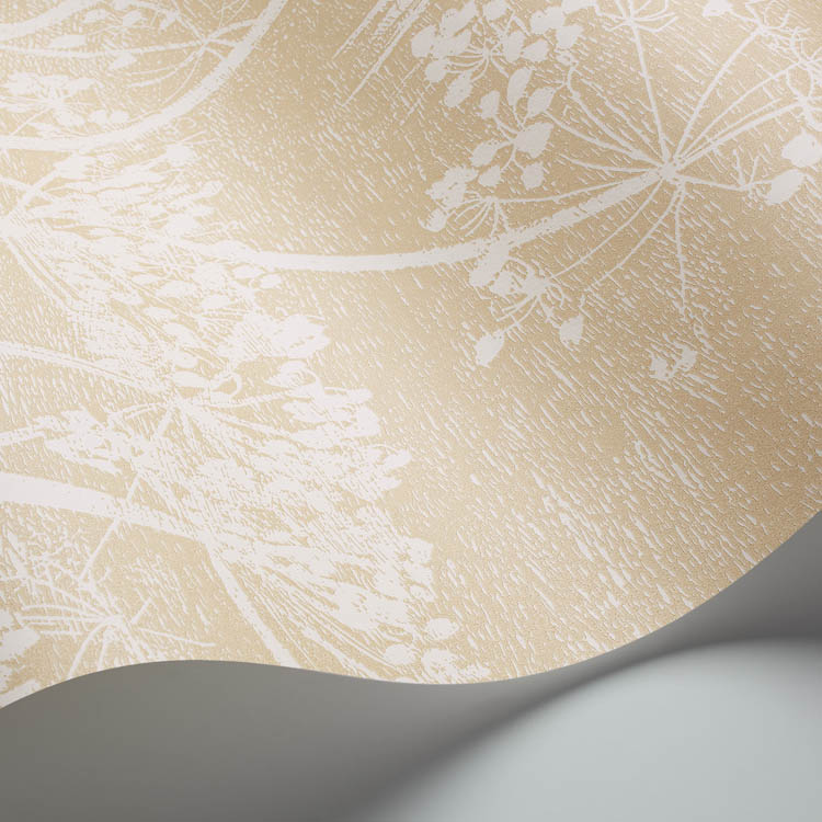 cole and son cow parsley