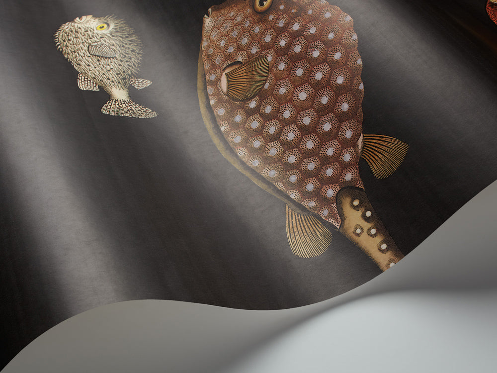 Cole & Son behang Acquario bruin multicolor