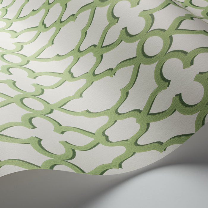 Cole and Son behang Treillage 116/6022