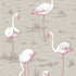 Cole and Son behang - Flamingos sand 66/6042