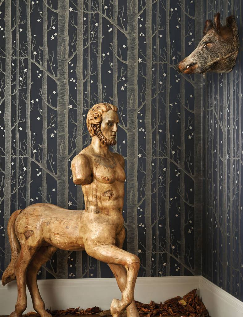 Cole & Son behang - Woods & stars linen - 103/11047