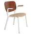 nctionals Emil Rosi Armrest Chair