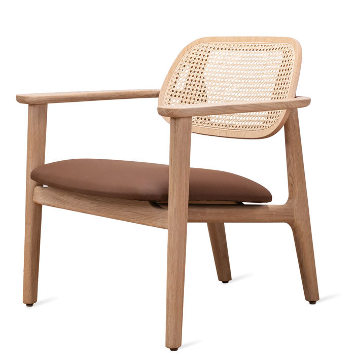 Vincent Vincent Sheppard Titus lounge chair