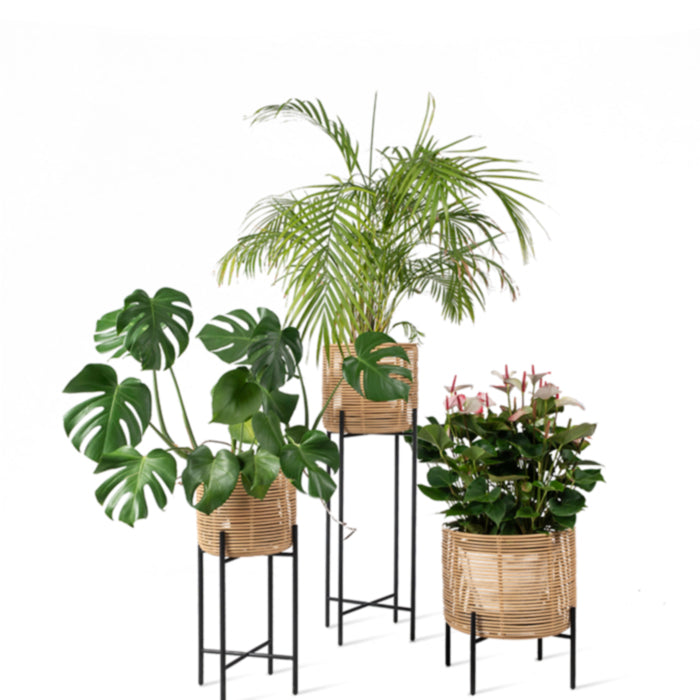 Vincent Sheppard vivi plant stand