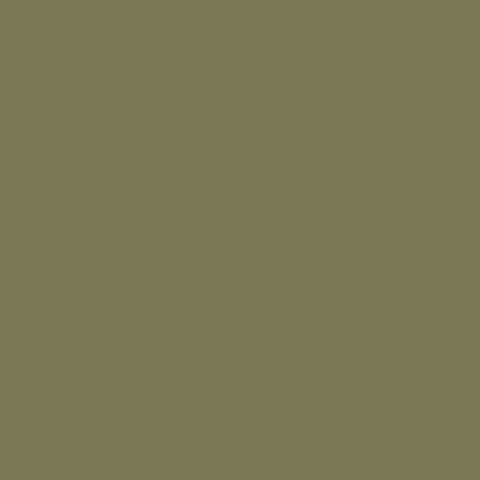 Little Greene verf - Hillside 371