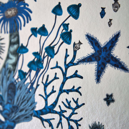 Clarke &amp; Clarke behang Seaforest - Blue W0218-02 sfeerbeeld 