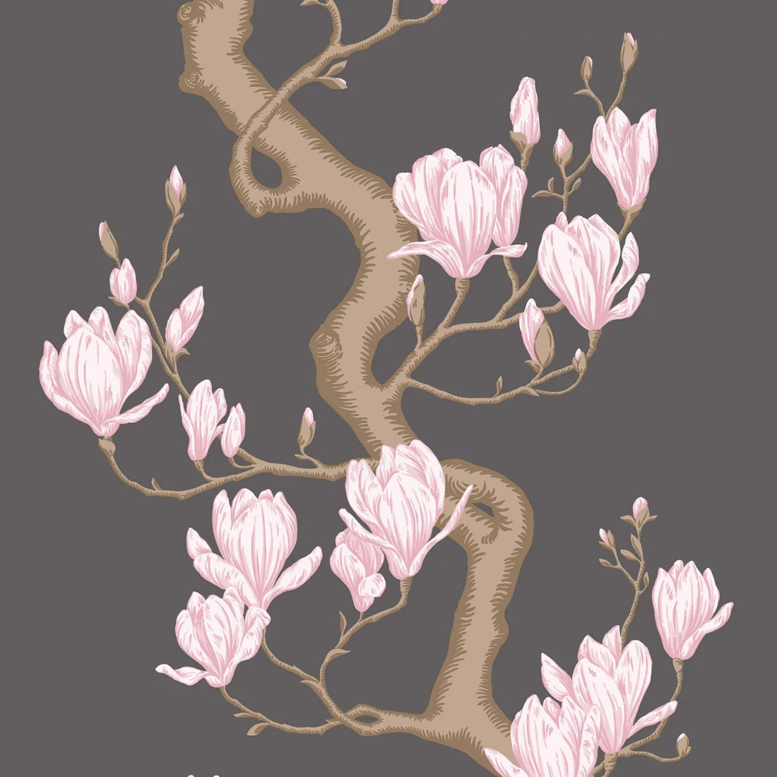 Cole and Son behang Magnolia Tree Charcoal and Soft Pink 128/1001