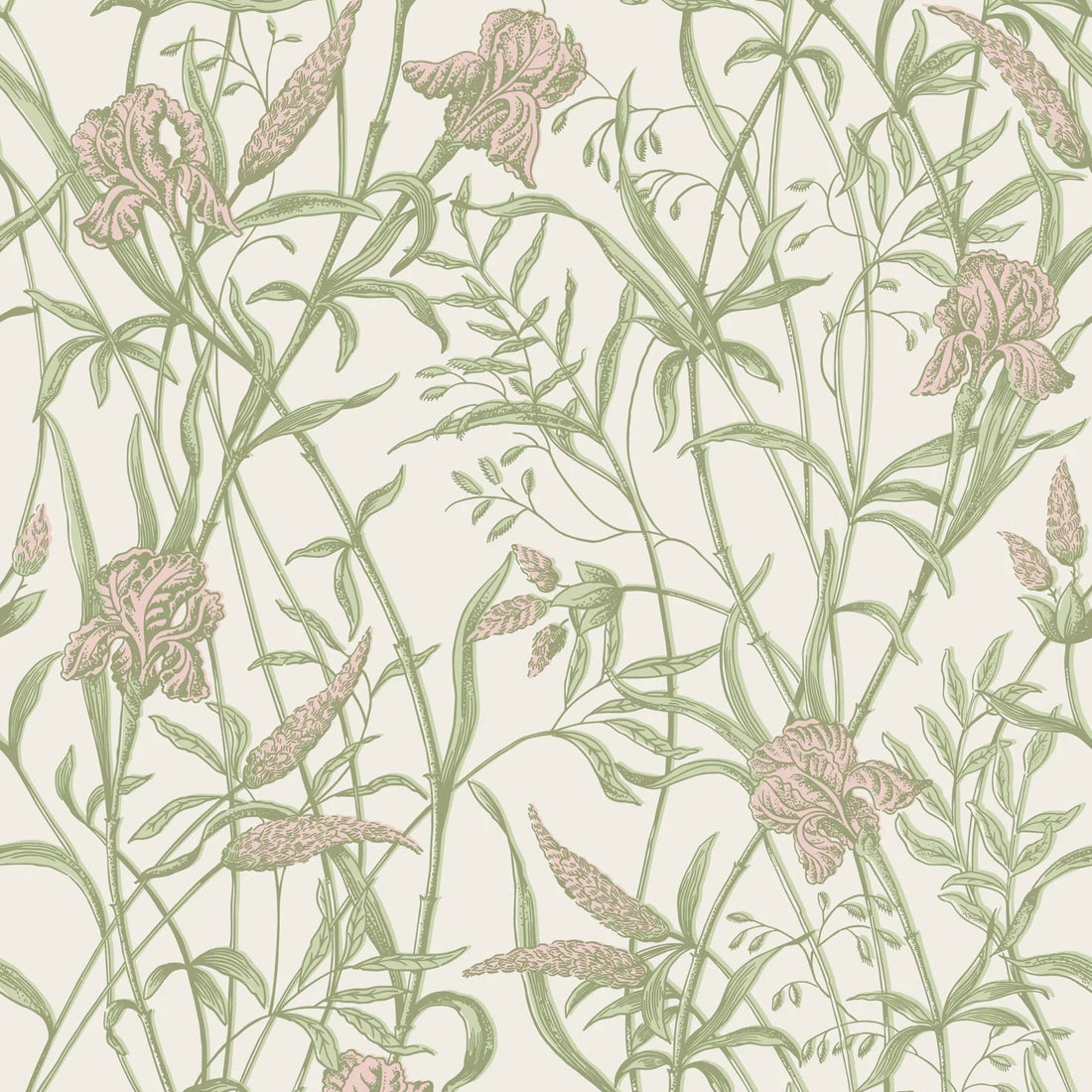 Cole and Son behang Iris Soft Coral on Chalk 128/5025