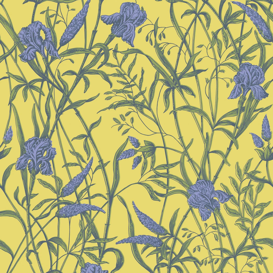 Cole and Son behang Iris Violet on Citrine 128/5027