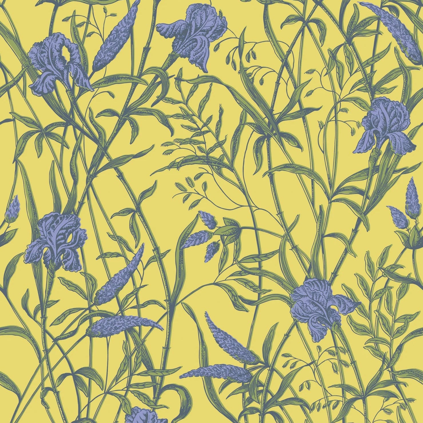 Cole and Son behang Iris Violet on Citrine 128/5027