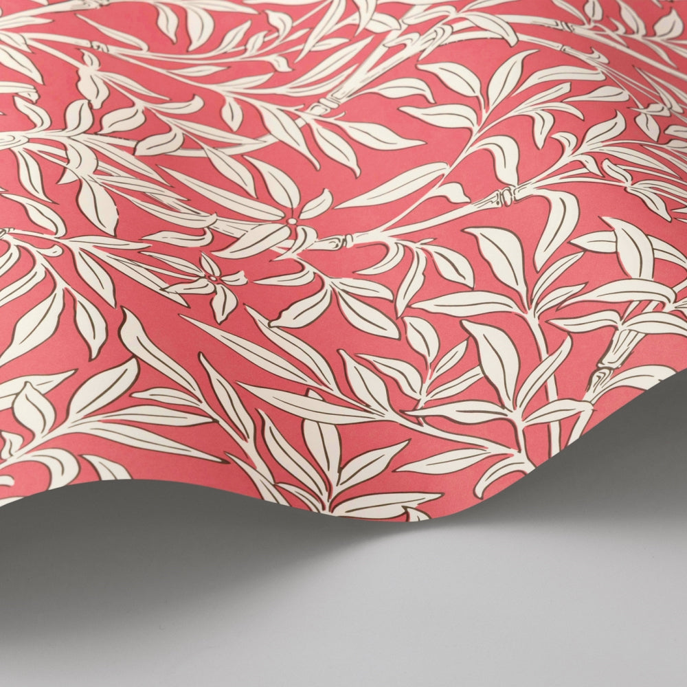 Cole &amp; Son behangrol Bamboo Forest 127-1001 