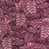 Cole and Son behang Acacia Canopy Plum 129/4016 