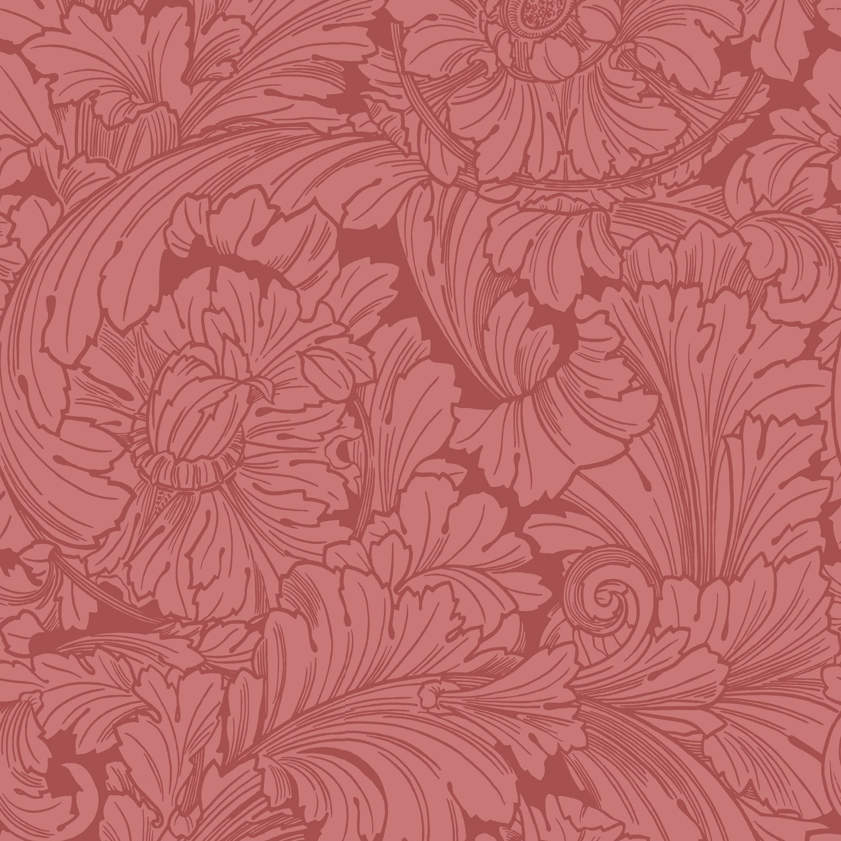 Cole and Son behang Acanthus Stately Home Red 127/6033 uit de Classics Collection Vol.1 