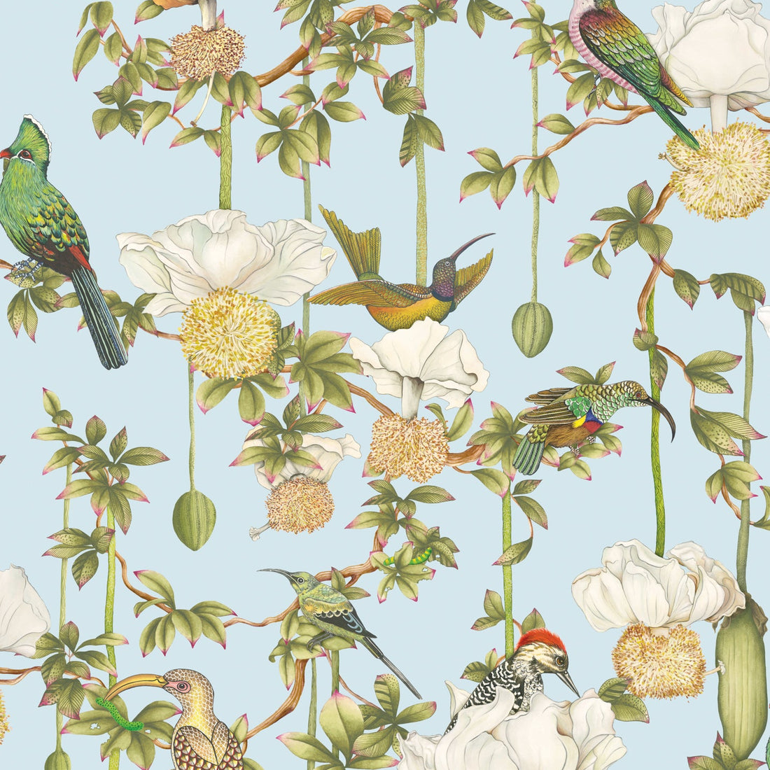 Cole and Son behang Baobab Botanica Sky Blue 129/2007