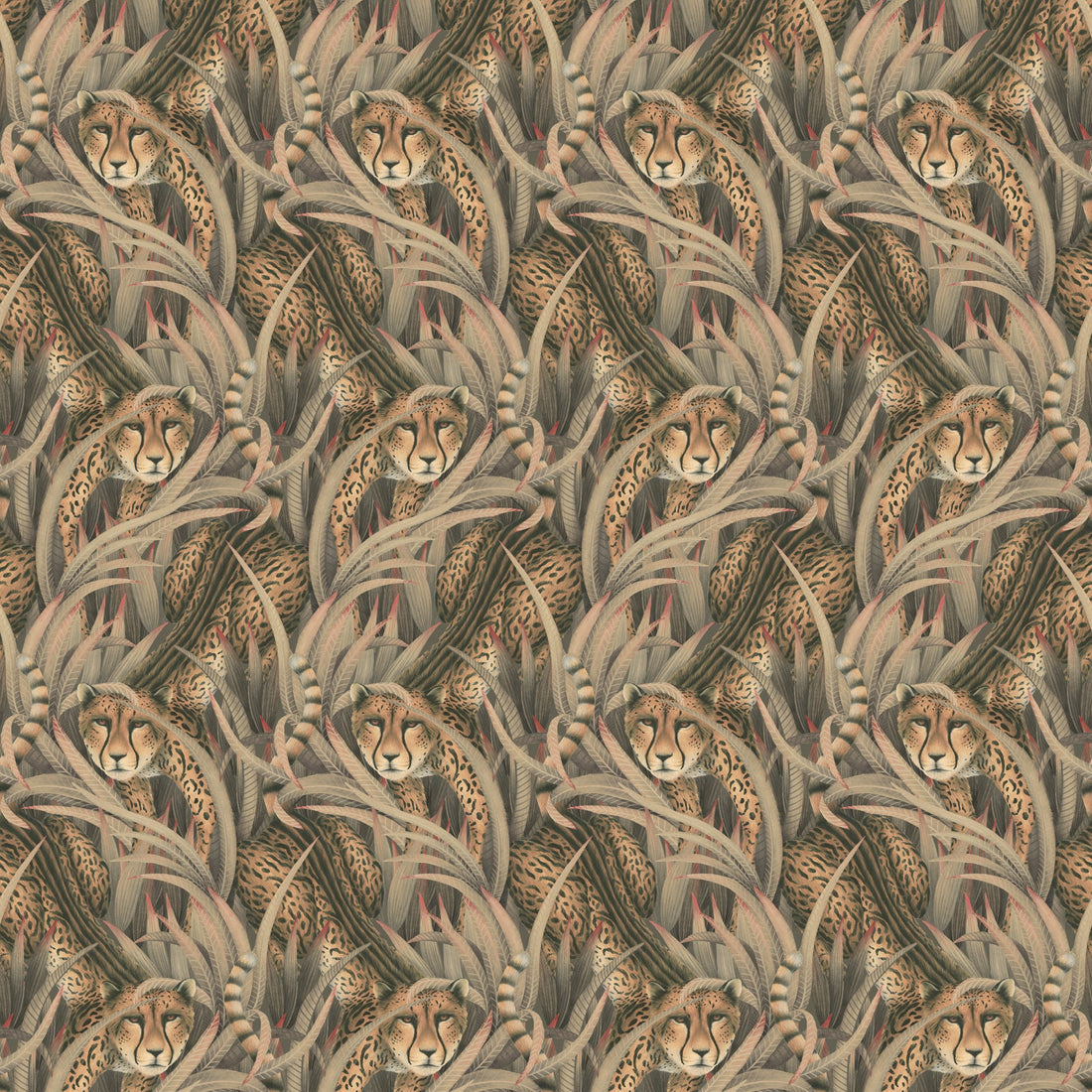 Cole and Son behang Cheetah Prowl Slate 129/8044