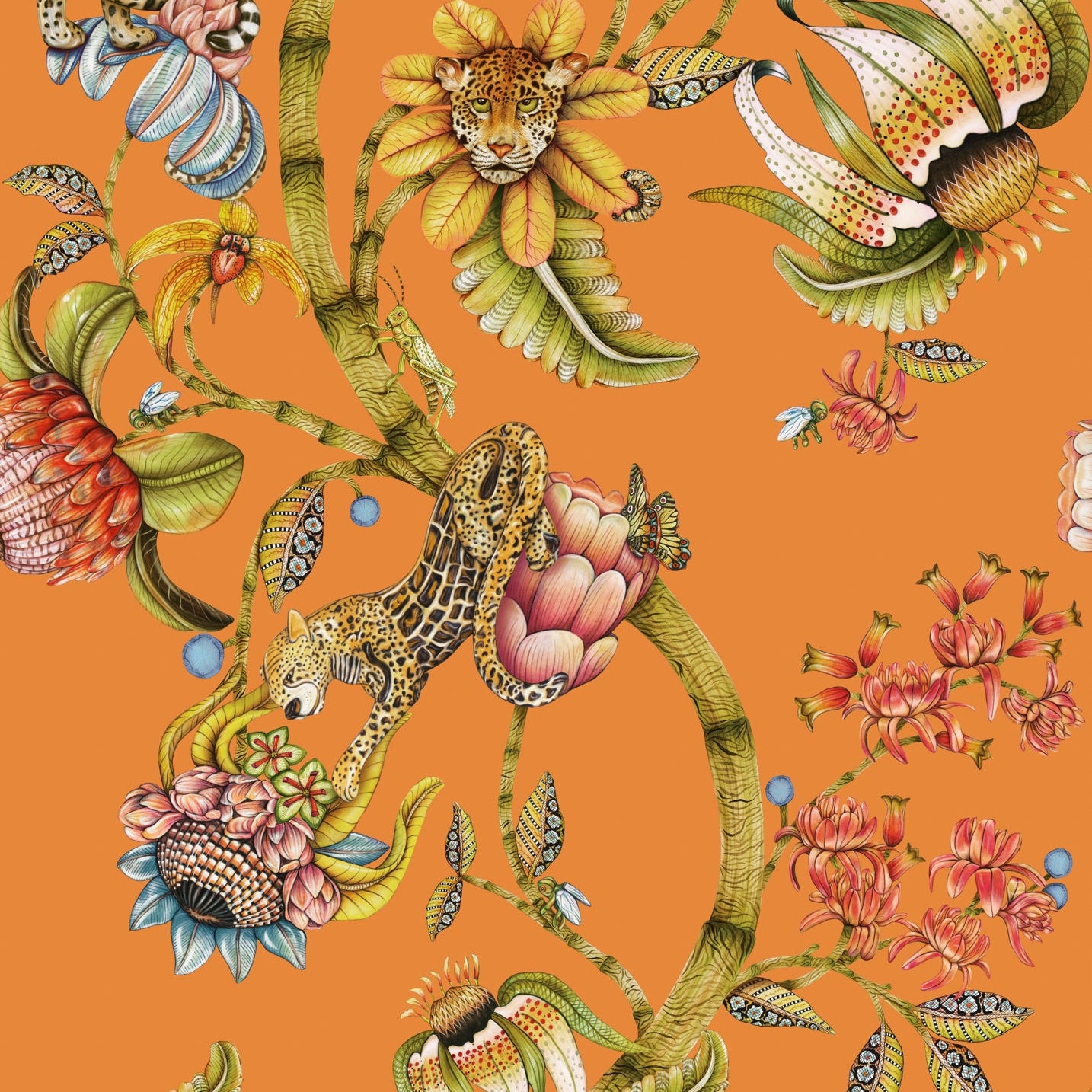 Cole and Son behang Protea Panthera Clementine 129/6022