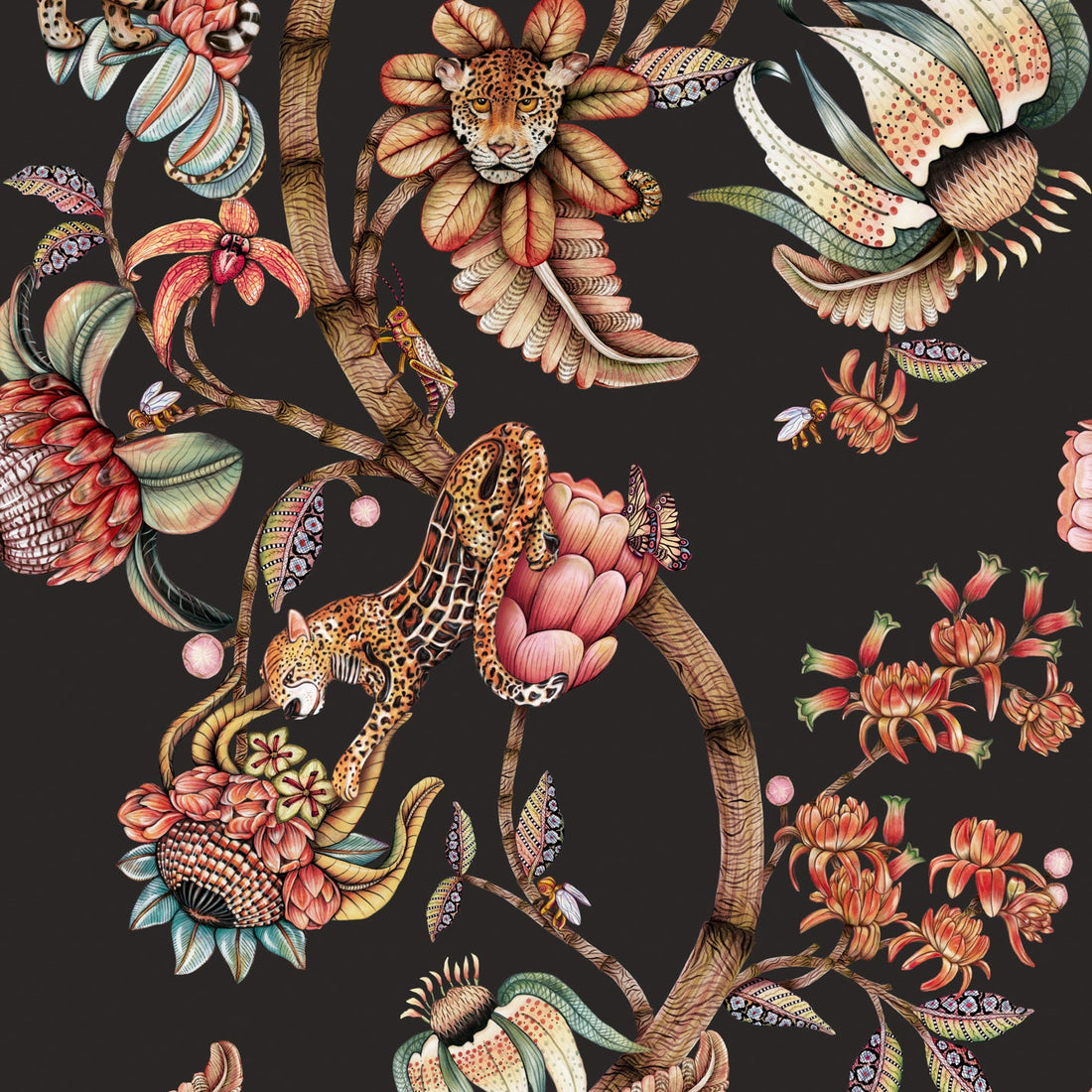 Cole and Son behang Protea Panthera Onyx 129/6023